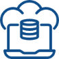 IT System