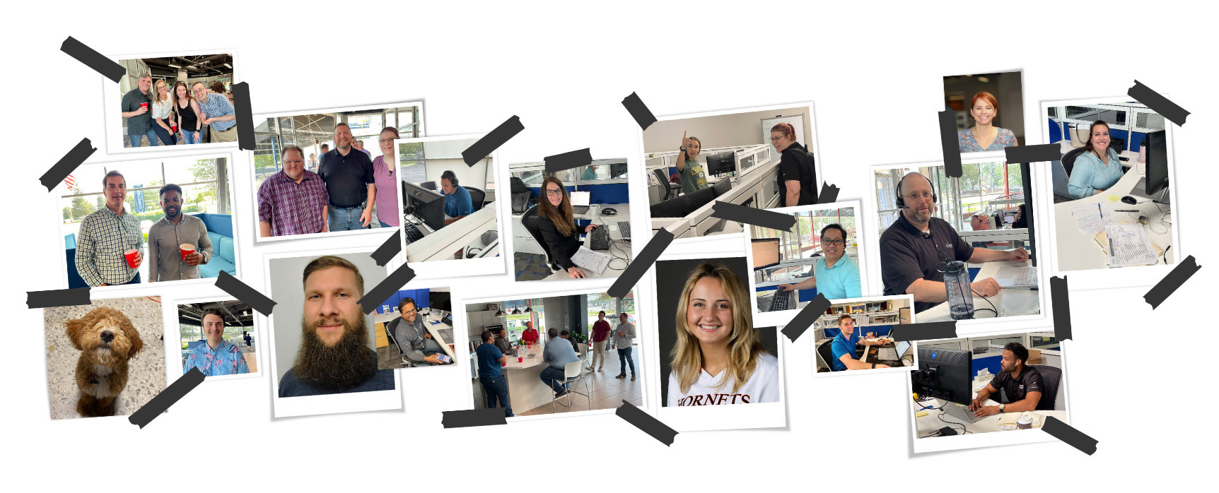 collage of employees